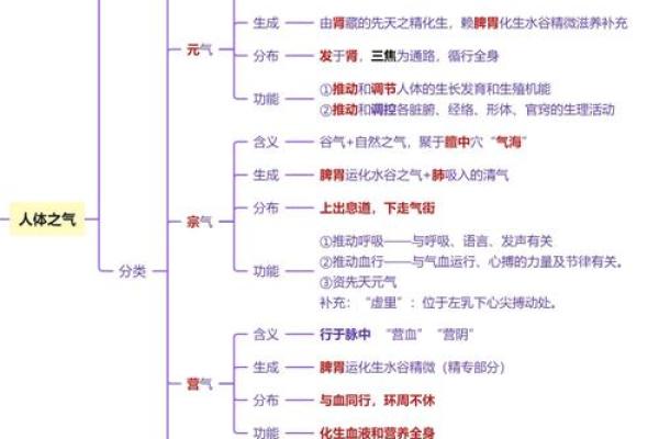 探索血液循环的奥秘：解密“bloodc”背后的科学与健康影响